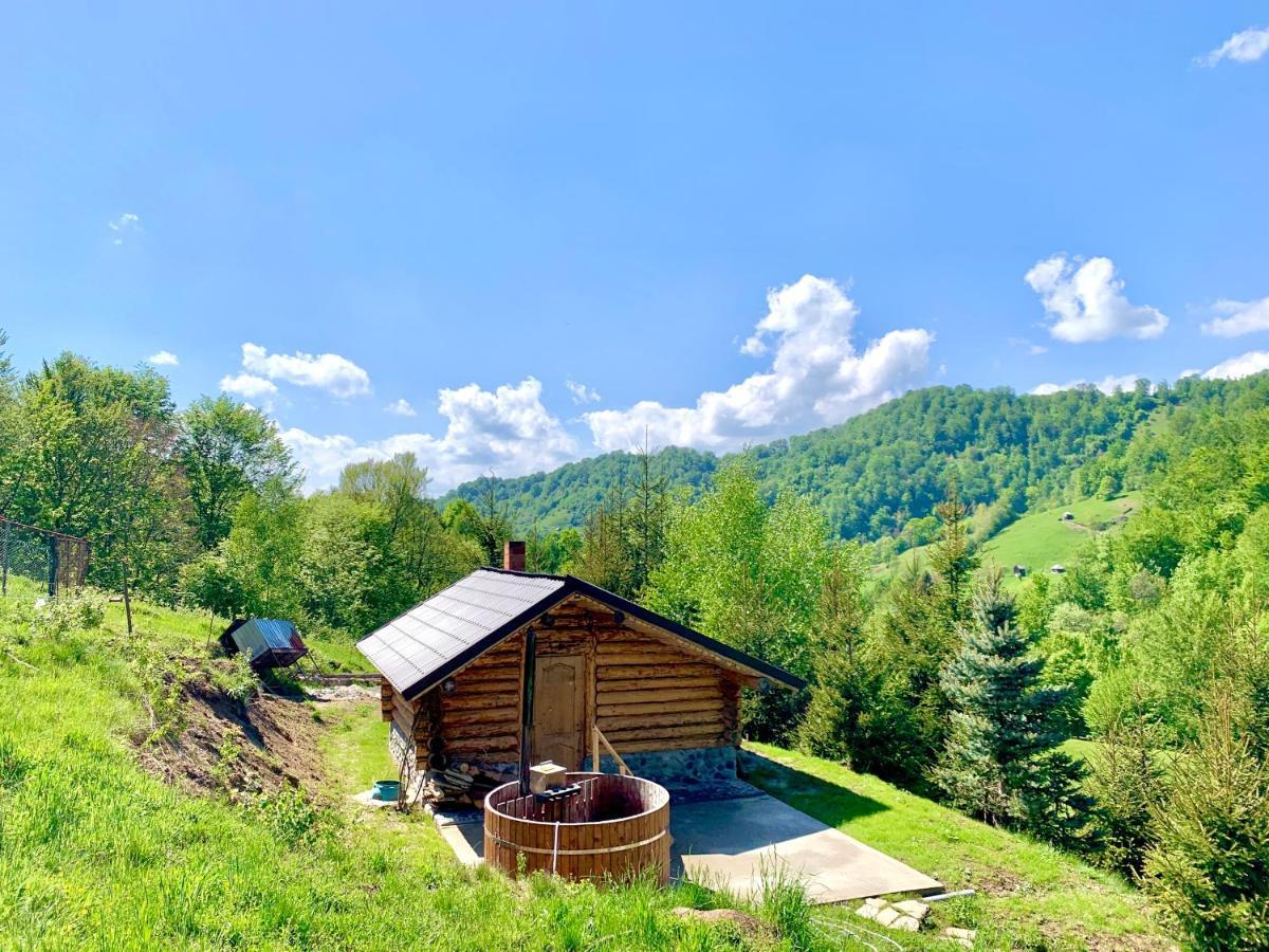 Conacul Drahneilor Hotel Ruscova Bagian luar foto