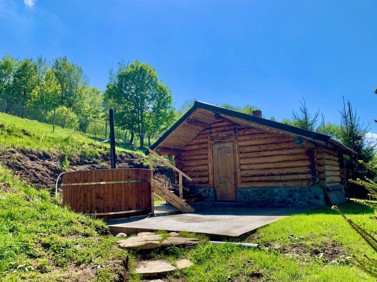 Conacul Drahneilor Hotel Ruscova Bagian luar foto