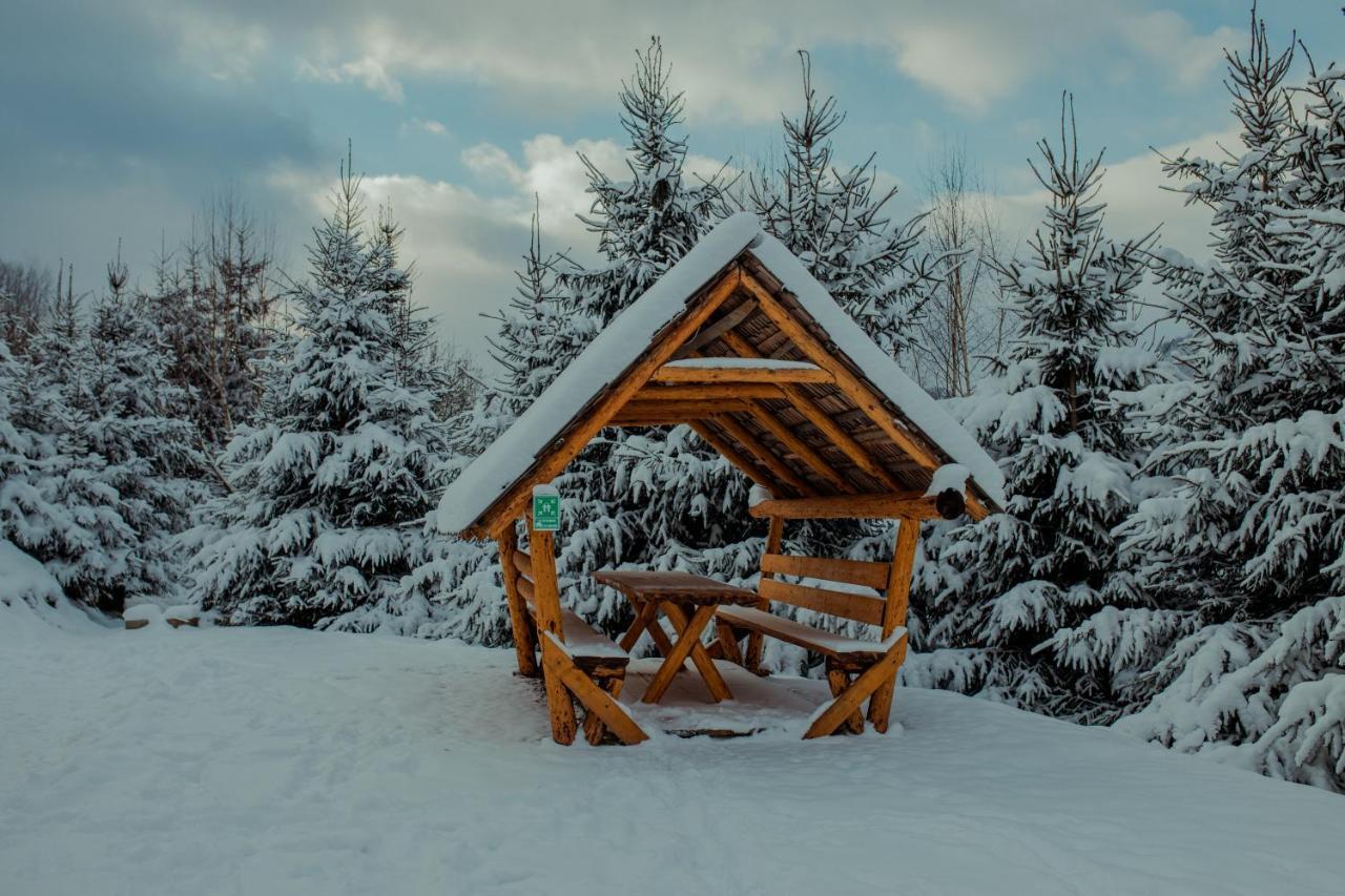 Conacul Drahneilor Hotel Ruscova Bagian luar foto