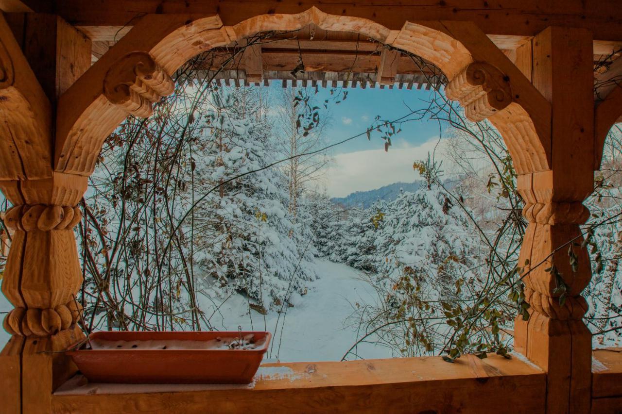 Conacul Drahneilor Hotel Ruscova Bagian luar foto