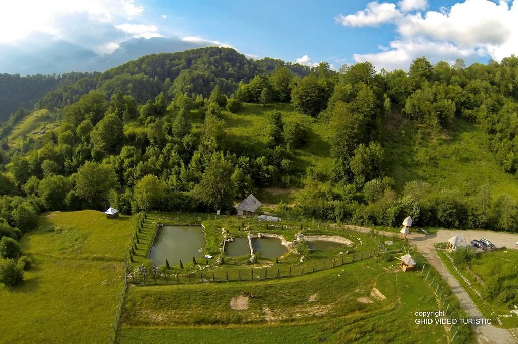 Conacul Drahneilor Hotel Ruscova Bagian luar foto