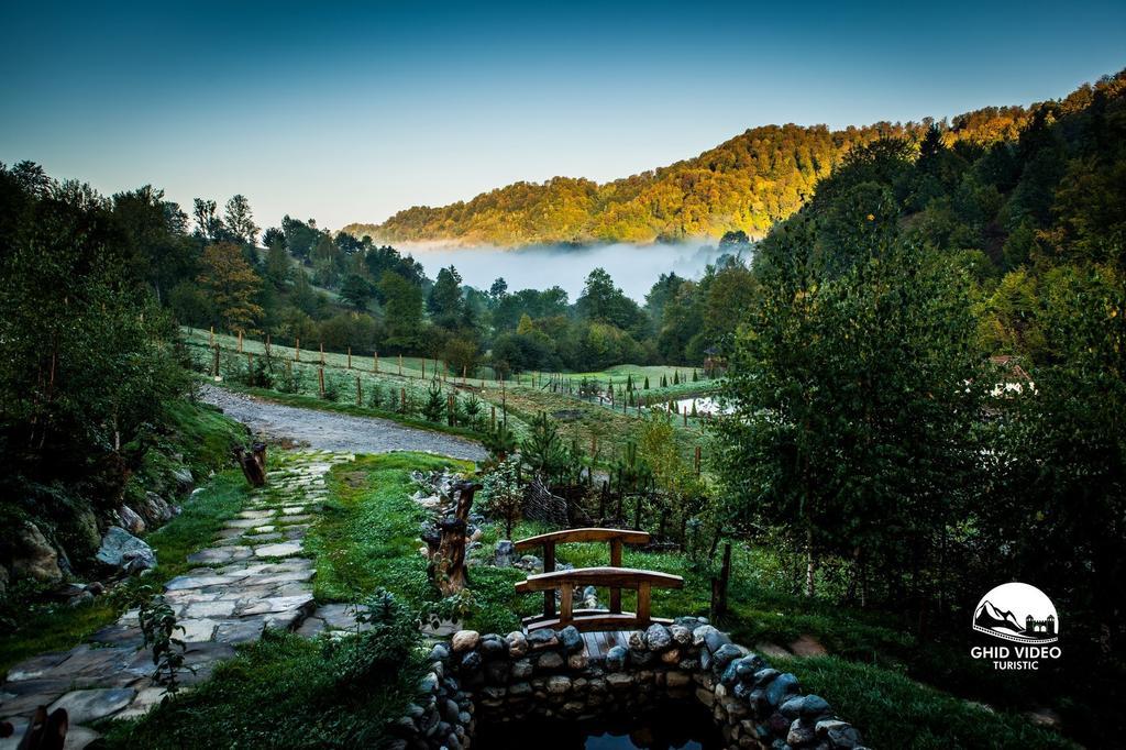 Conacul Drahneilor Hotel Ruscova Bagian luar foto